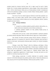 Verslo planas: pramogų ir meno klubas "Okeanas" 13 puslapis
