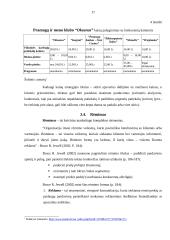 Verslo planas: pramogų ir meno klubas "Okeanas" 17 puslapis