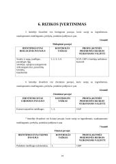 Verslo planas: prekyba galvijų oda UAB "Kalno odininkai" 13 puslapis