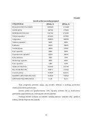 Verslo planas: prekyba galvijų oda UAB "Kalno odininkai" 15 puslapis