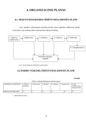 Verslo planas: prekyba galvijų oda UAB "Kalno odininkai" 9 puslapis