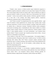 Verslo planas: programuotojų firma UAB "Premier accountant" 2 puslapis