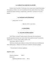 Verslo planas: programuotojų firma UAB "Premier accountant" 12 puslapis