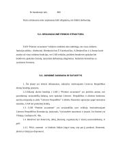 Verslo planas: programuotojų firma UAB "Premier accountant" 13 puslapis