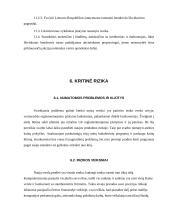 Verslo planas: programuotojų firma UAB "Premier accountant" 19 puslapis