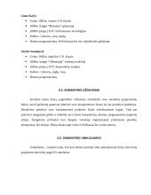 Verslo planas: programuotojų firma UAB "Premier accountant" 4 puslapis
