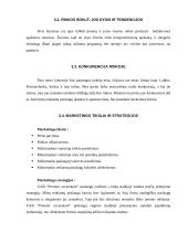 Verslo planas: programuotojų firma UAB "Premier accountant" 6 puslapis