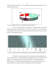 Verslo planas: psichologijos centras  UAB "Konsultacija Tau" 13 puslapis