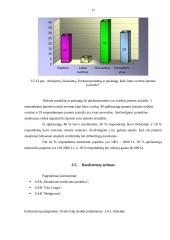 Verslo planas: psichologijos centras  UAB "Konsultacija Tau" 16 puslapis