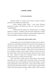Verslo planas: reklamos firma "2×2" 11 puslapis