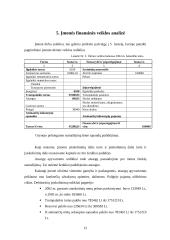 Verslo planas: reklamos firma "2×2" 15 puslapis