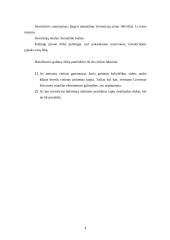 Verslo planas: reklamos firma "2×2" 4 puslapis