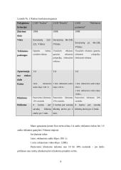 Verslo planas: reklamos firma "2×2" 8 puslapis