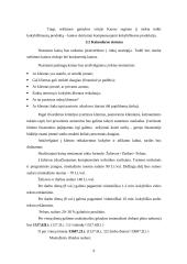 Verslo planas: reklamos firma "2×2" 9 puslapis