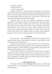 Verslo planas: renginių organizavimo agentūra UAB "Pašėlkim" 11 puslapis