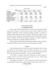 Verslo planas: renginių organizavimo agentūra UAB "Pašėlkim" 13 puslapis