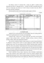 Verslo planas: renginių organizavimo agentūra UAB "Pašėlkim" 4 puslapis