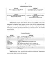 Verslo planas: restoranas UAB "Aidas" 11 puslapis