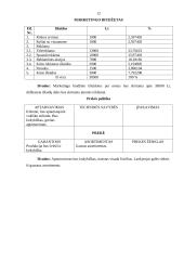 Verslo planas: restoranas UAB "Aidas" 12 puslapis