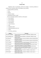 Verslo planas: restoranas UAB "Aidas" 16 puslapis