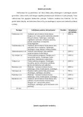 Verslo planas: restoranas UAB "Aidas" 18 puslapis