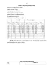 Verslo planas: restoranas UAB "Aidas" 20 puslapis