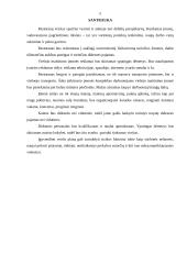 Verslo planas: restoranas UAB "Aidas" 5 puslapis