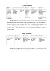 Verslo planas: restoranas UAB "Aidas" 9 puslapis