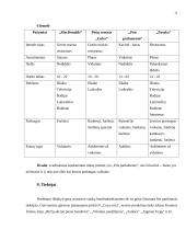 Verslo planas: restoranas vaikams UAB "Pasaka" 13 puslapis