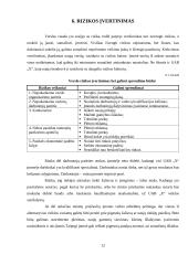 Verslo planas: siuvimo įmonė 12 puslapis
