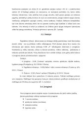 Verslo planas: siuvimo įmonė 7 puslapis