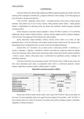 Verslo planas: siuvimo įmonė UAB "Eliada" 2 puslapis