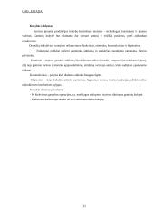 Verslo planas: siuvimo įmonė UAB "Eliada" 11 puslapis