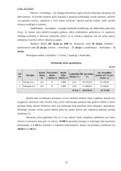Verslo planas: siuvimo įmonė UAB "Eliada" 13 puslapis