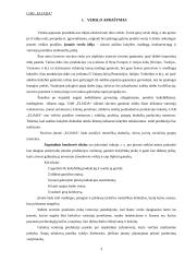 Verslo planas: siuvimo įmonė UAB "Eliada" 3 puslapis