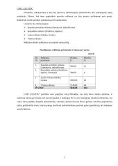 Verslo planas: siuvimo įmonė UAB "Eliada" 7 puslapis