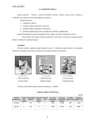 Verslo planas: siuvimo įmonė UAB "Eliada" 8 puslapis
