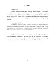 Verslo planas: siuvimo įmonė UAB "Sportė" 11 puslapis