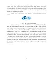 Verslo planas: siuvimo įmonė UAB "Sportė" 4 puslapis