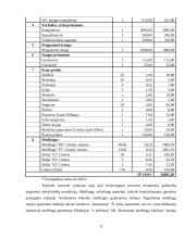 Verslo planas: siuvimo įmonė UAB "Sportė" 7 puslapis