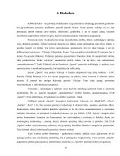 Verslo planas: siuvimo įmonė UAB "Sportė" 9 puslapis