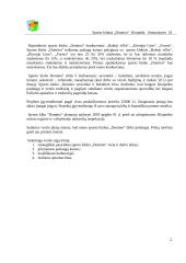 Verslo planas: sporto klubas "Domino" 2 puslapis