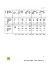 Verslo planas: sporto klubas "Domino" 11 puslapis