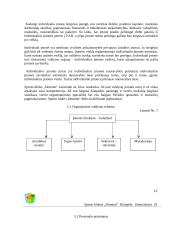 Verslo planas: sporto klubas "Domino" 13 puslapis