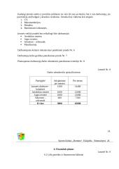 Verslo planas: sporto klubas "Domino" 14 puslapis