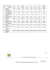 Verslo planas: sporto klubas "Domino" 16 puslapis