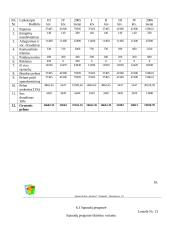 Verslo planas: sporto klubas "Domino" 18 puslapis