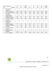Verslo planas: sporto klubas "Domino" 20 puslapis