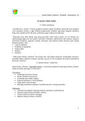 Verslo planas: sporto klubas "Domino" 3 puslapis