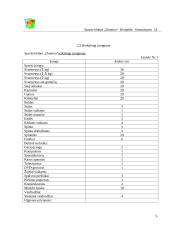 Verslo planas: sporto klubas "Domino" 5 puslapis